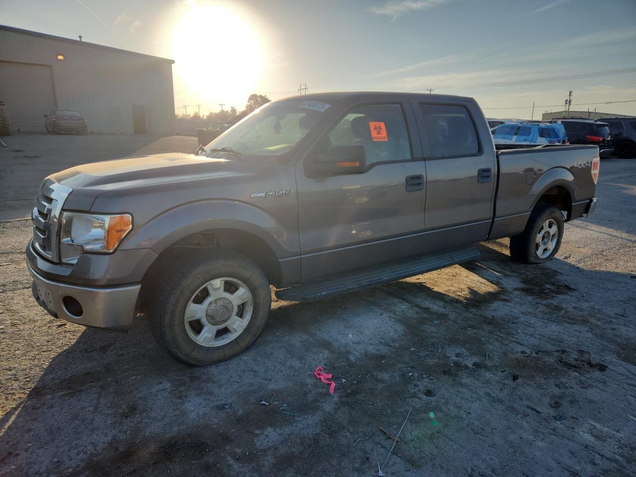 2010 FORD F-150