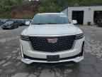 2023 CADILLAC ESCALADE
