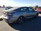 2023 NISSAN Maxima