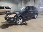 2010 HONDA CR-V