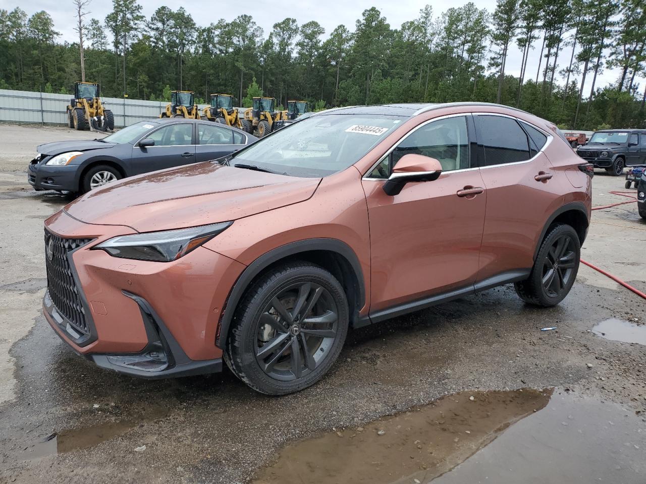 2025 LEXUS Nx