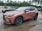 2025 LEXUS Nx