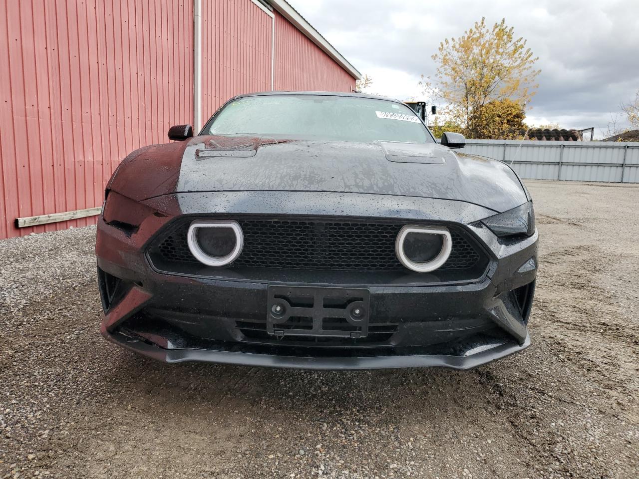 2019 FORD MUSTANG