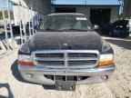 1999 DODGE Dakota