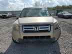 2007 HONDA PILOT