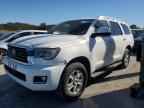 2019 TOYOTA Sequoia