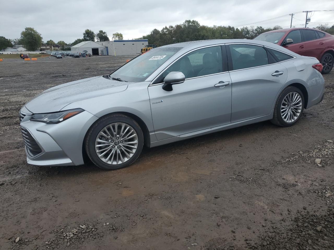 2019 TOYOTA Avalon
