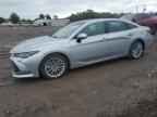 2019 TOYOTA Avalon