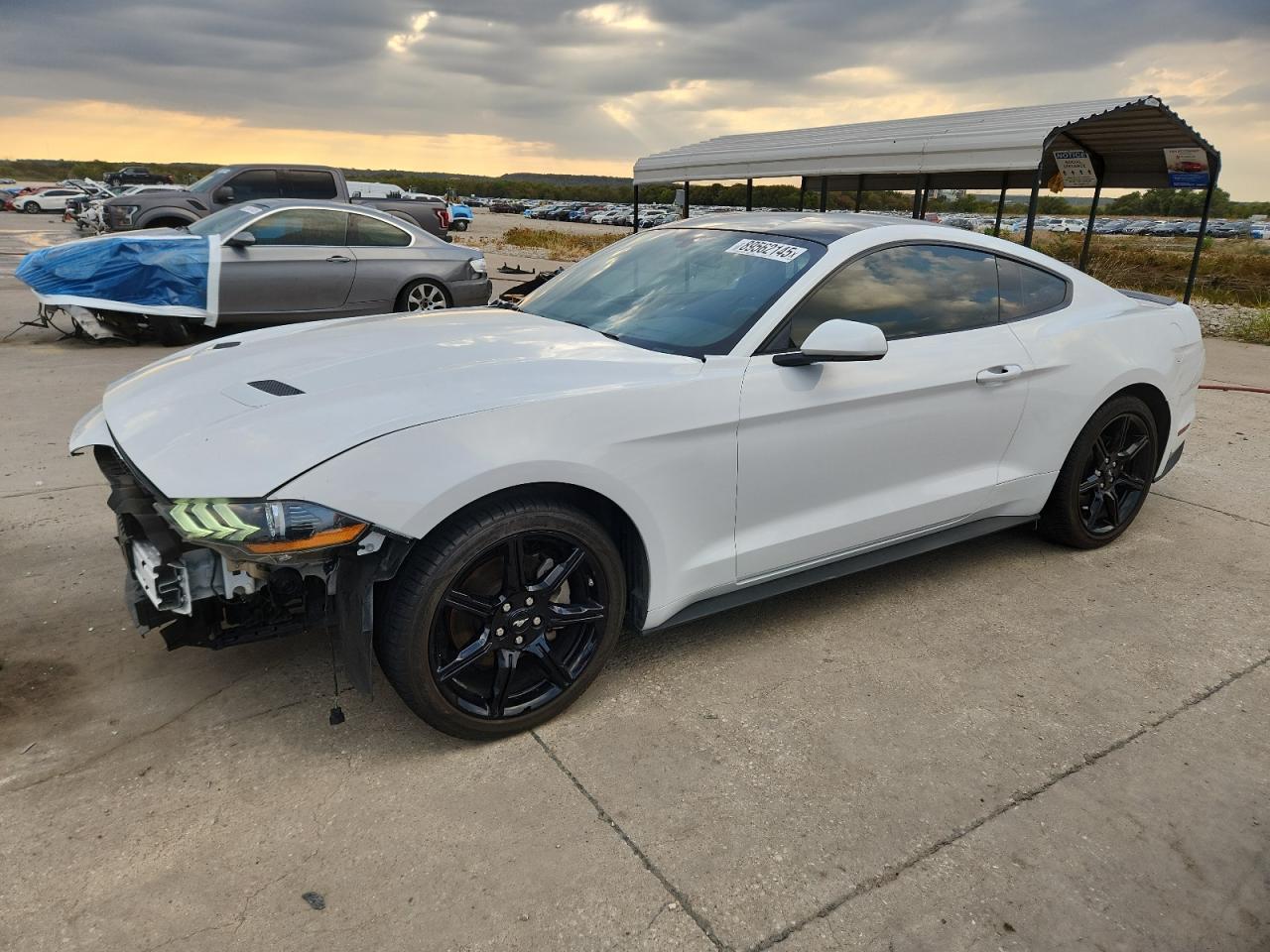 2019 FORD MUSTANG