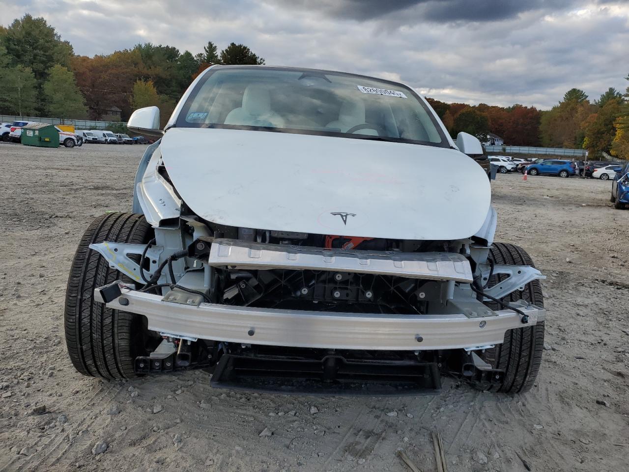 2025 TESLA MODEL Y