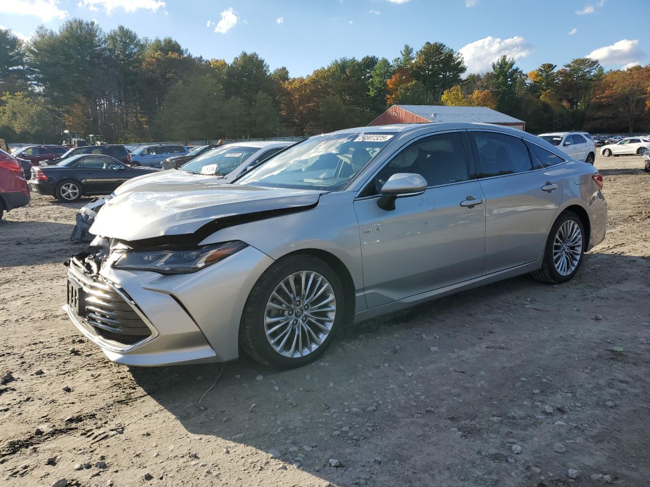 2019 TOYOTA Avalon