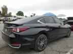 2024 LEXUS Es