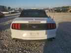 2023 FORD MUSTANG