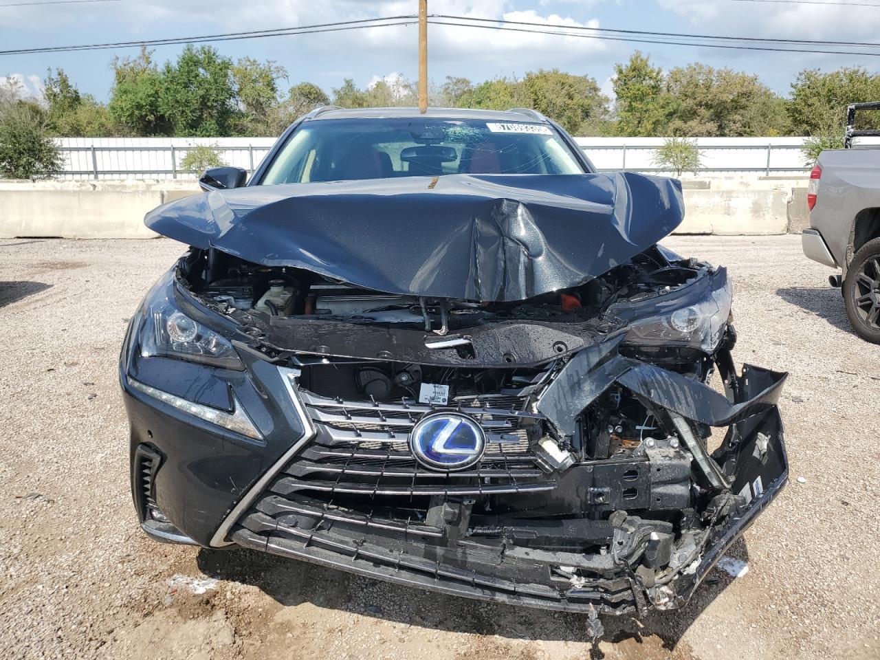 2019 LEXUS NX 300H