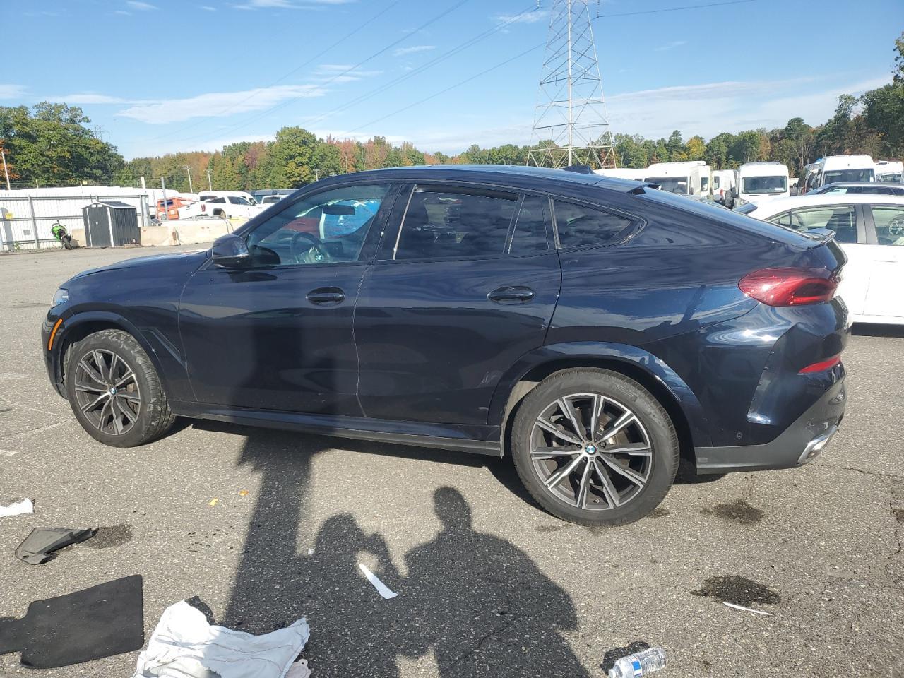 2025 BMW X6