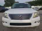 2009 LEXUS Lx
