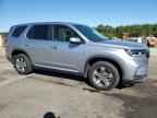 2023 HONDA PILOT
