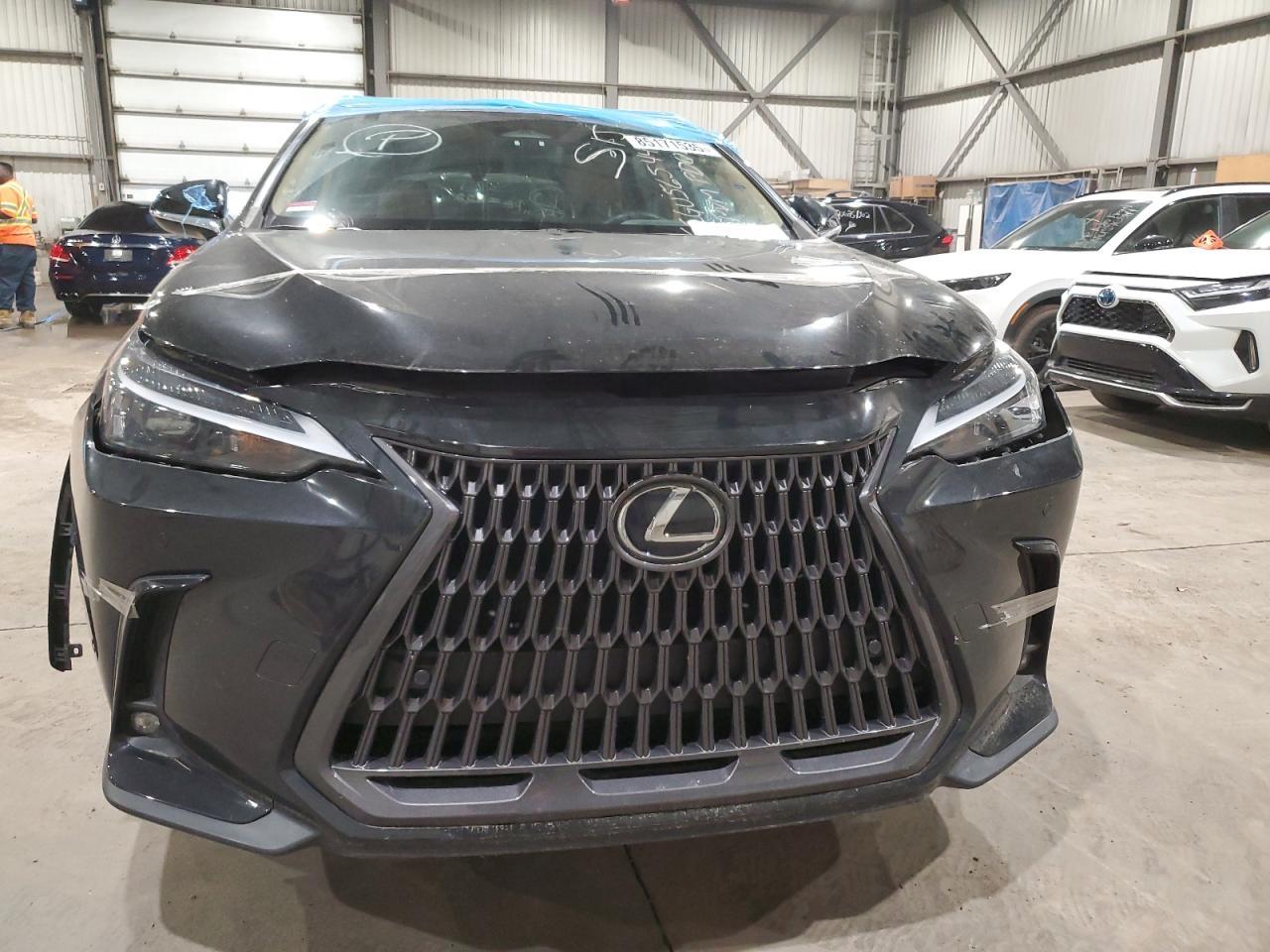 2023 LEXUS Nx