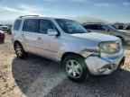 2009 HONDA PILOT