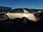 2005 TOYOTA COROLLA
