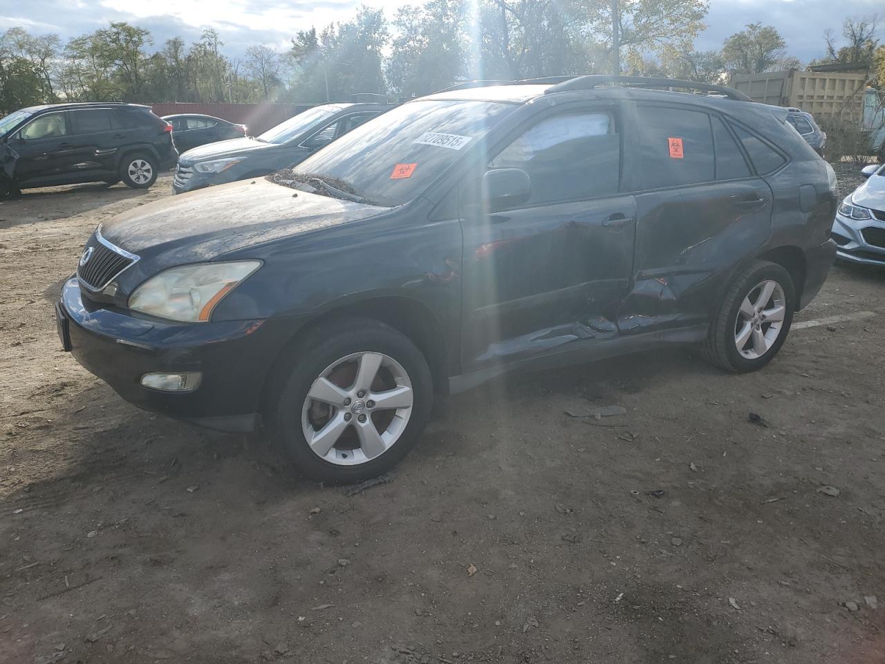 2004 LEXUS Rx