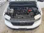 2024 FORD Maverick