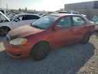 2005 TOYOTA COROLLA