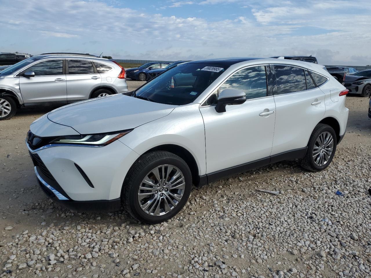 2024 TOYOTA VENZA
