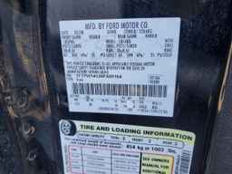 2009 FORD F-150