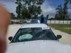 2013 DODGE Avenger