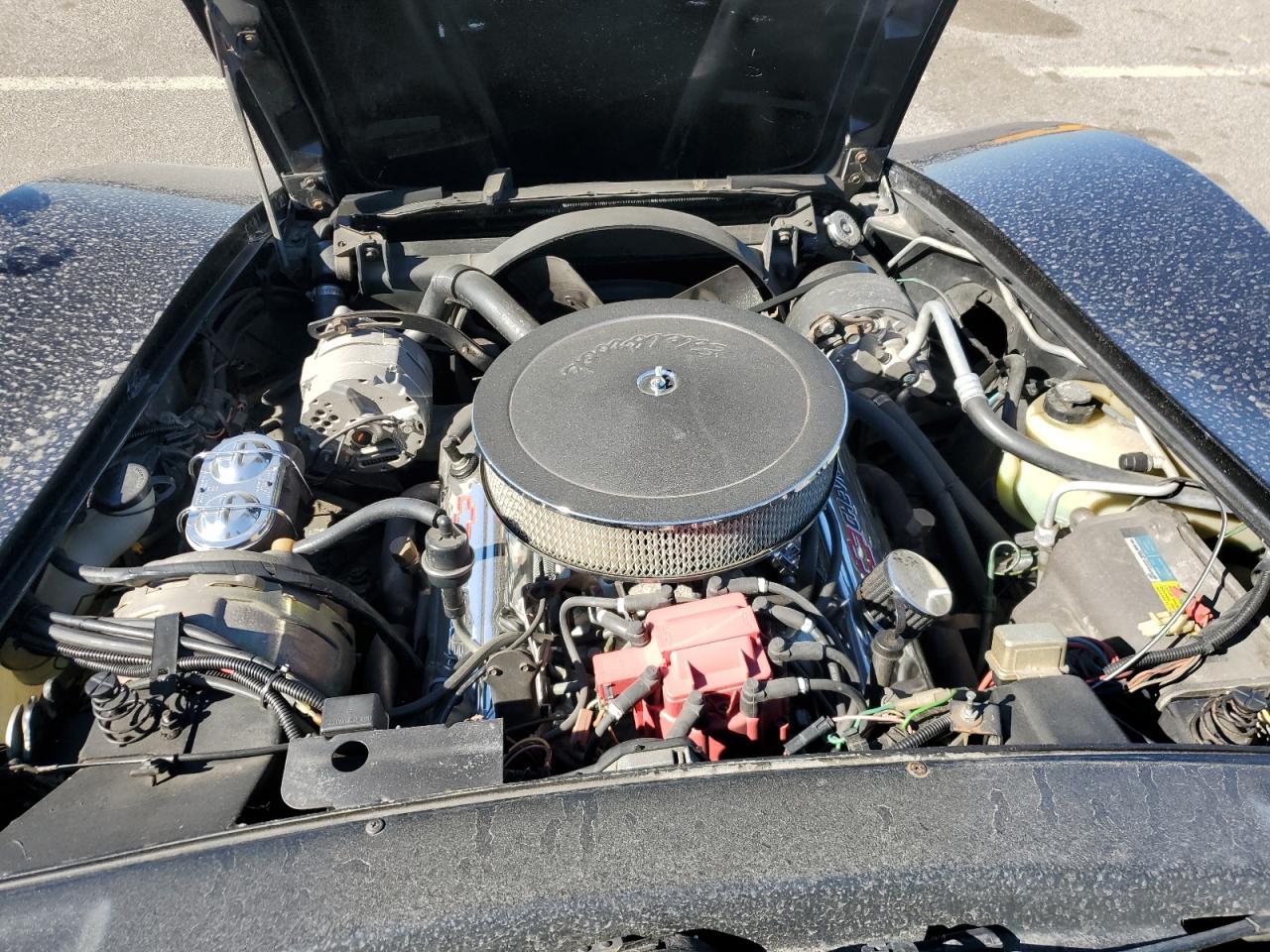 1981 CHEVROLET CORVETTE