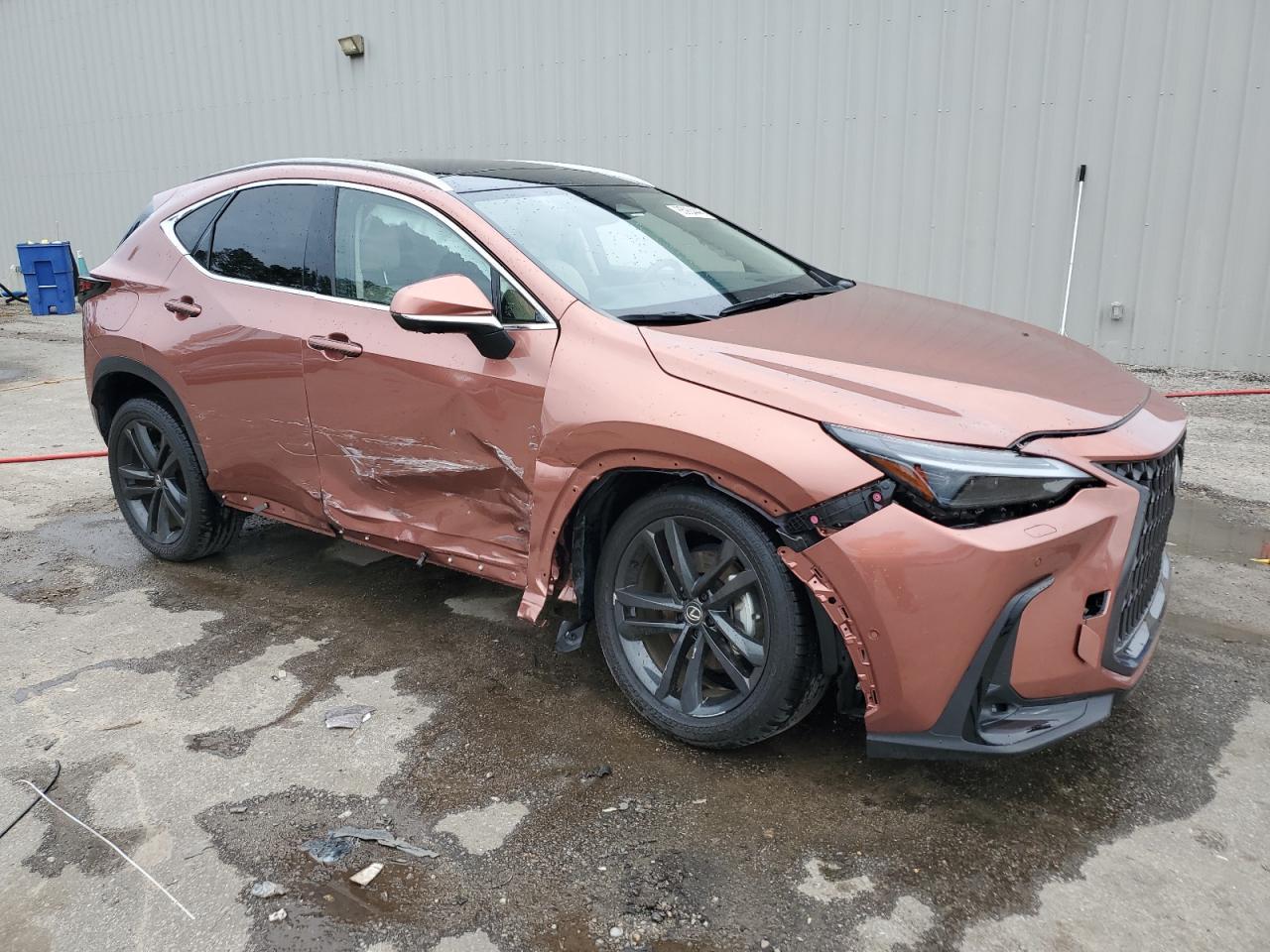2025 LEXUS Nx