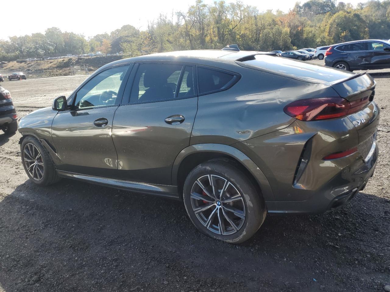 2021 BMW X6