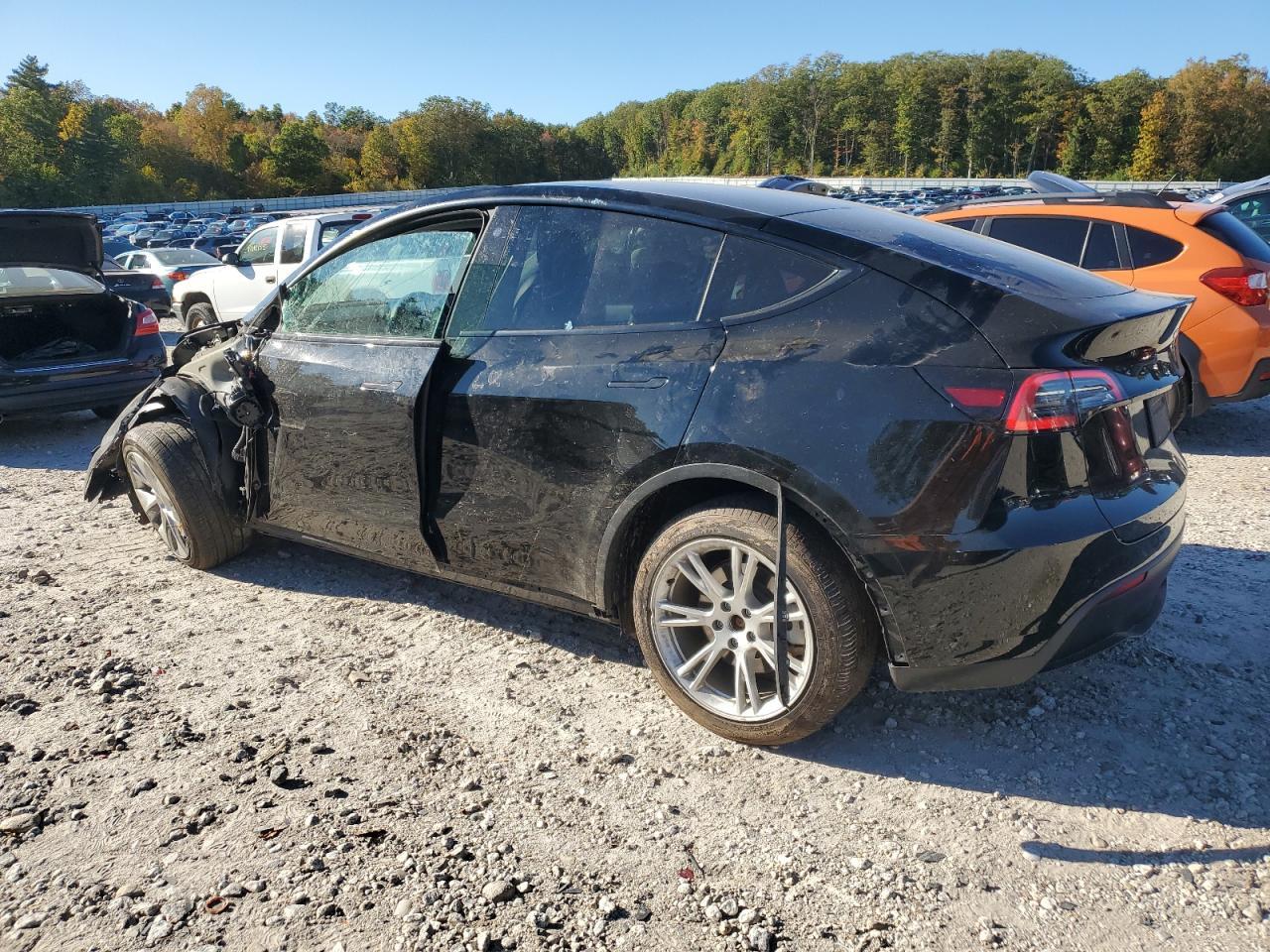 2021 TESLA MODEL Y