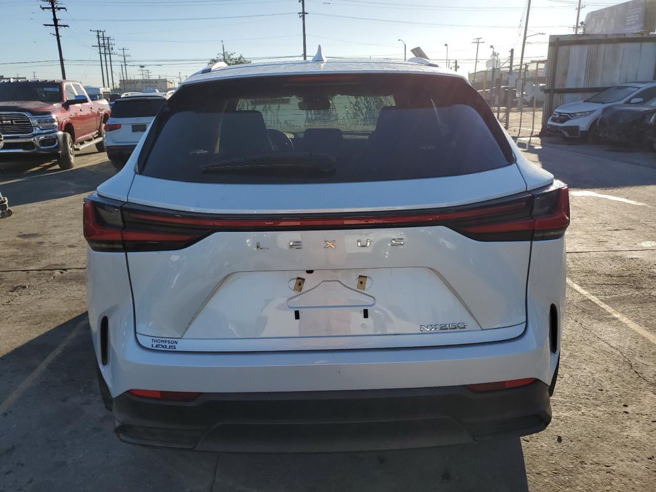 2024 LEXUS NX 250