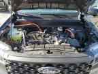 2025 FORD Maverick