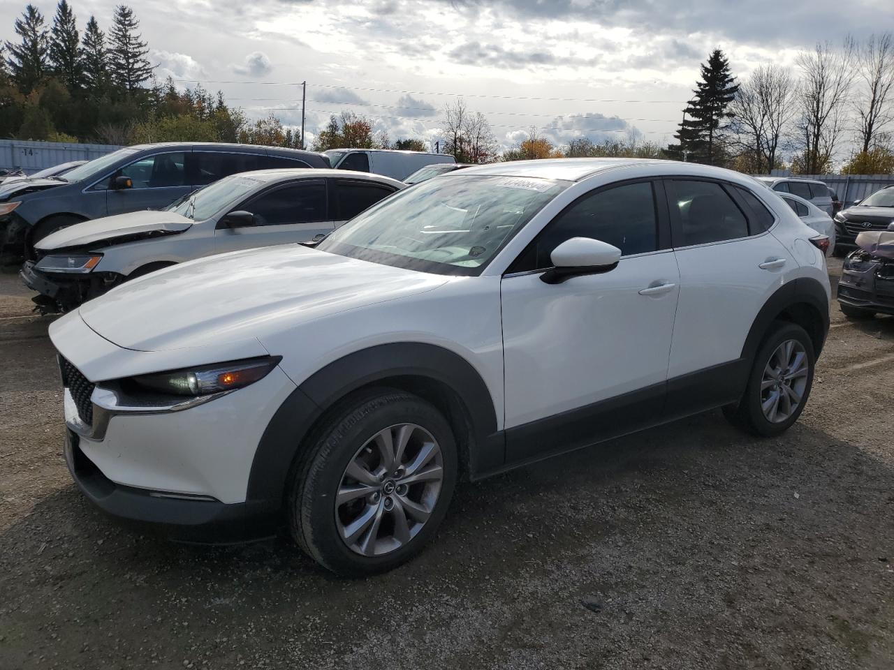2020 MAZDA CX-30