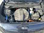 2020 KIA Niro