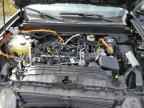 2022 FORD Maverick