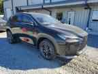 2025 LEXUS Nx