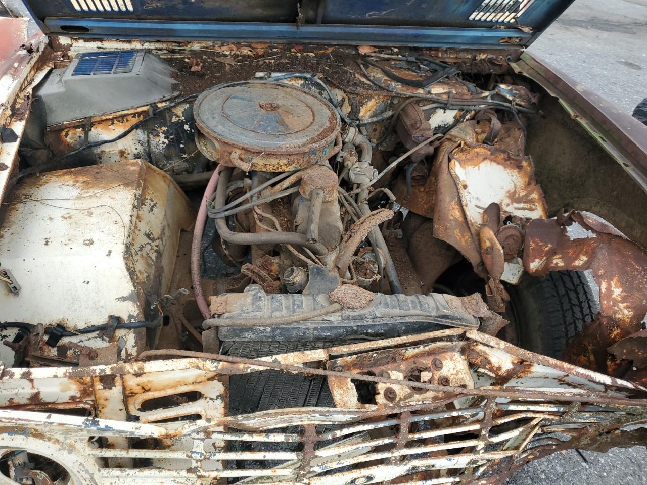 1976 FORD Bronco