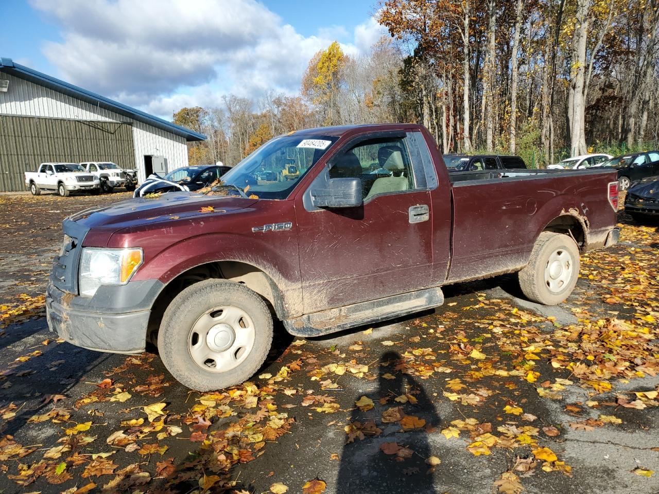 2009 FORD F-150