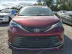 2024 TOYOTA SIENNA