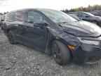 2023 HONDA ODYSSEY