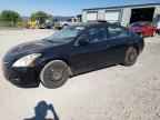 2010 NISSAN ALTIMA