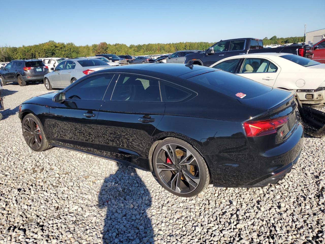 2024 AUDI S5