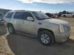 2009 CADILLAC ESCALADE