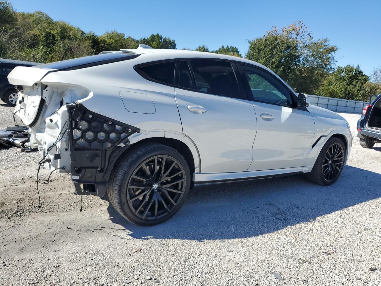 2023 BMW X6