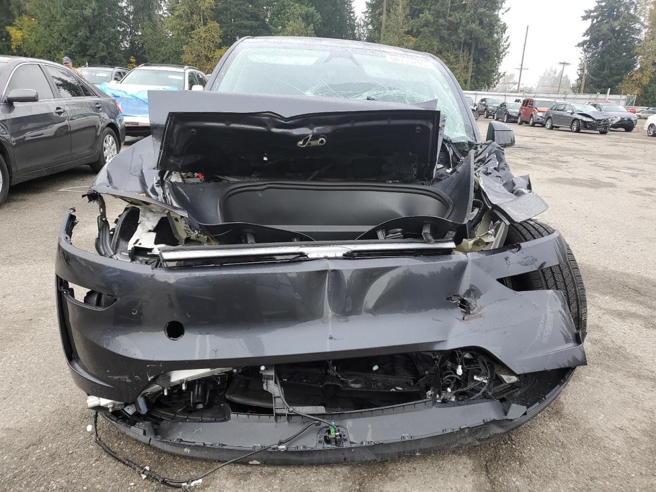 2026 TESLA MODEL Y