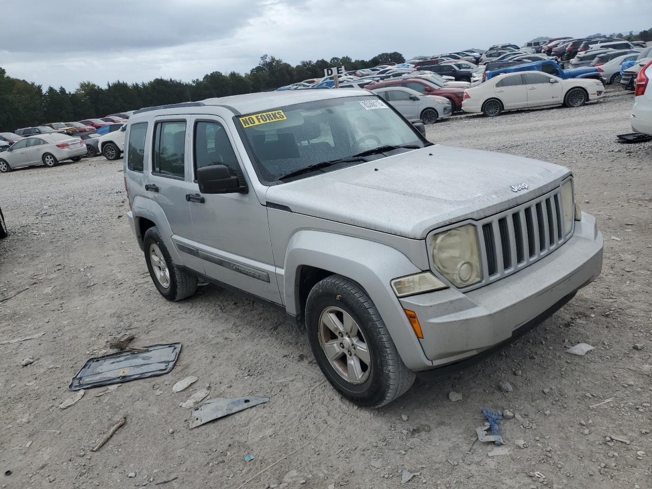 2010 JEEP Liberty
